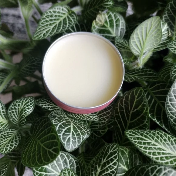 Gift Set π Organic Tallow Balm with Honey and Electrolytes 4oz and Lip Balm. - Picture 6 of 6